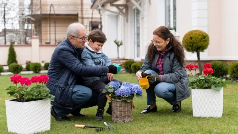 Decoradyard Garden Tips by Decoratoradvice: Transform Your Outdoor Space with Smart and Stylish Ideas